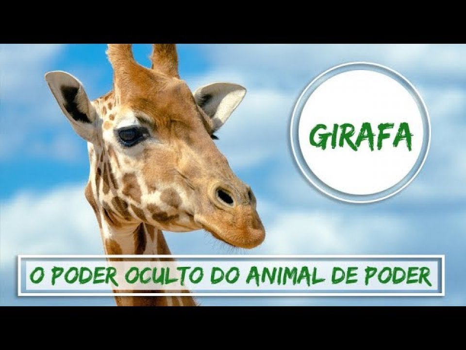 Animal de Poder Girafa - O Poder Oculto do Animal de Poder 2ª Temporada #4