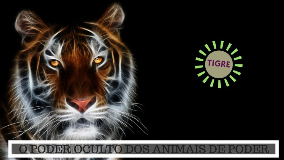 Significado do Tigre - O Poder Oculto do Animal de Poder!